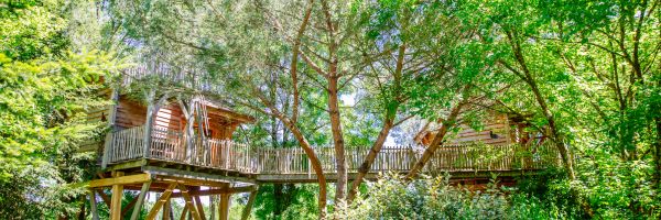 Cabane dans les arbres - Palombière