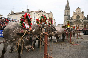 Fête des Bœufs Gras de Bazas