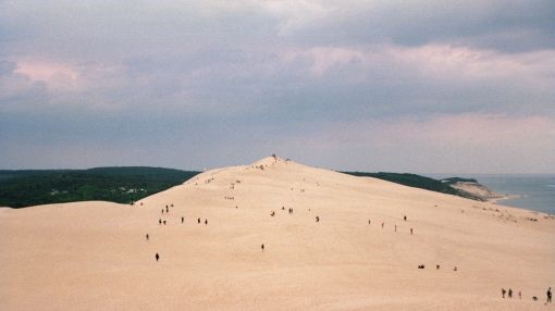 <p><strong>Localisation idéale</strong></p>
<p>Domaine se trouvant au <span>cœur </span>d'un paysage d'exception en Aquitaine, près de Bordeaux, du Bassin d'Arcachon et de l'emblématique Dune du Pilat.</p>