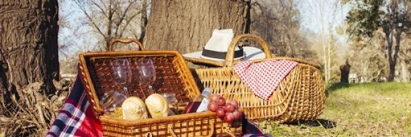 Panier Repas du Voyageur