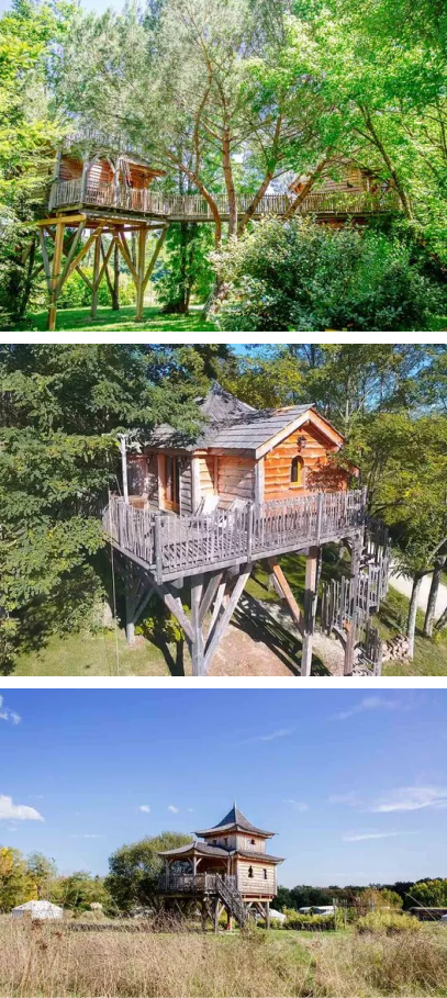 cabane dans les arbres insolite