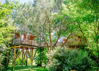 Cabane dans les arbres - Palombière