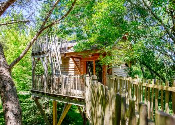 Cabane dans les arbres - Palombière